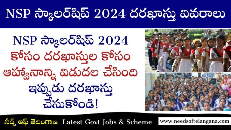 NSP స్కాలర్‌షిప్ 2024